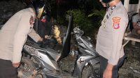 IMG-20241114-WA0081