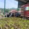 IMG-20260616-WA0100