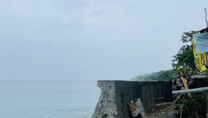 IMG-20260709-WA0071